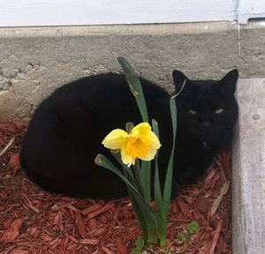 Meet your Posher, Destiny